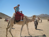 На верблюде в пустыне