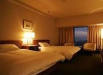 ANA Hotel Kumamoto New Sky
