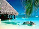 Фото Intercontinental Resort Tahiti