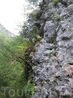 Гуамское ущелье. Завораживающие своим необычным рельефом отвесные скалы, кажется можно подпрыгнуть и ползти вверх. Чтоб от туда с высоты можно было взглянуть ...