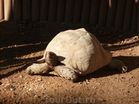 Marineland