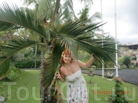 Я под пальмою стою.....самый популярный сюжет для фото со свех курортов