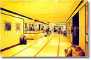Фото Ramada Palm Grove
