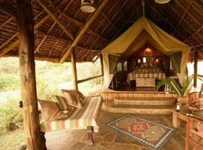 Tortilis Camp