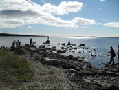 Белое море, ищем гранат, после прилива на берегу можно найти камни с вкраплениями граната ( немного нашли) был отлив((