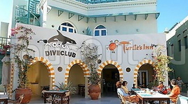 Turtles Inn Dive Club & Hotel