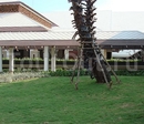 Фото Ravindra Beach Resort and Spa