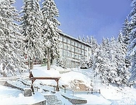 The Bor Hotel Pamporovo