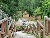 Вниз по лестнице, ведущей вверх. Если отклониться от основной дорожки, то дальше начинается местность больше похожая на лес, чем на парк.