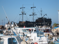 Black pearl ))) на этом фото ему еще только пару месяцев )) на фоне рыбацких корабликов смотрится гигантом, хотя это так и есть