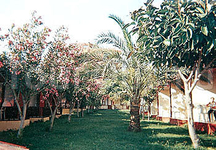 Santa Barbara