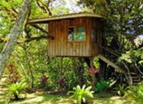 Mystica Restaurant Lodge & Retreats