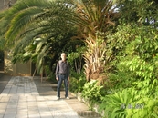 В "Пальмовой оранжерее" Таврического дворца