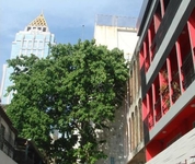 Baan Saladaeng Boutique