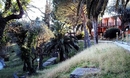 Фото Sunny Camp