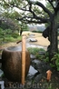 Мокрый сад в Токио