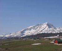 Фото отеля Boskovica Brvnare