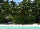 Фото Vilu Reef Beach & Spa Resort