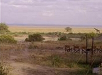 Lemala Manyara Camp Arusha