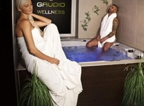 Gaudio