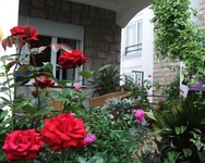 Villa Boskovich Villa Boskovich