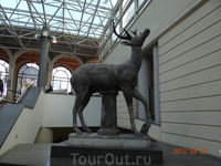 Ватикан
Ватикан