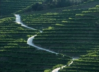 Aquapura Douro Valley