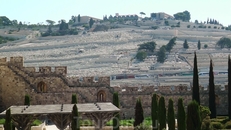 На выходе, слева нам напоследок открывается вид на южную часть Элеонской горы. На склоне древнее иудейское кладбище. Вообще, в иудаизме и христианстве ...