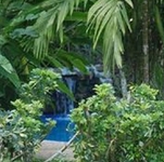 Chachagua Rainforest Hotel & Hacienda