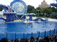 Sea World