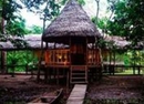 Фото Amazon Reise Eco-Lodge