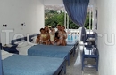 Фото Loutanis Hotel