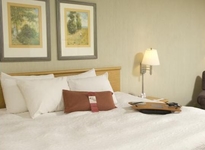 Hampton Inn and Suites by Hilton San Jose-Airport
