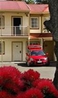 Фото BEST WESTERN BKs Pioneer Motor Lodge
