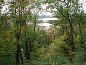 Вокруг замка разбит английский парк площадью 190 гектаров с редкими видами деревьев и системой прудов. Вид на пруды.