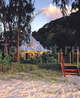 Фото Cousine Island Resort
