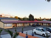 Auckland Phoenix Palm Motel