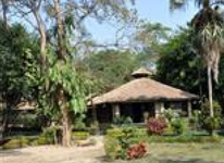 Gaida Wildlife Camp Lodge Chitwan