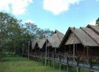 Фото отеля Bilit Rainforest Lodge