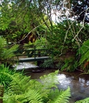 Best Western Braeside Resort