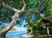 Enchanted Island Resort