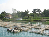 на горной реке Манавгат часто встречаются рыбные заводы. Этот специализируется на форели.