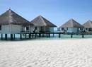 Фото Gangehi Island Resort