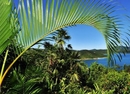 Фото Palm View Guest House
