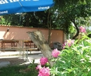 Фото Alma Hostel