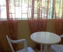Фото Palm Garden Hotel