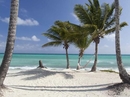 Фото Emerald Palms