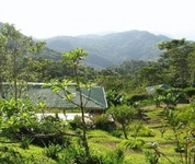 Finca Esperanza Verde