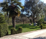 Apartmani Dario