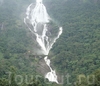 Молочный водопад Дудхсагар в Гоа